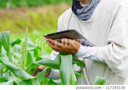 A man managing his crops using a tablet device 117193139