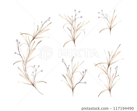 Set of light round violet flowers. Watercolor hand painting illustration on isolated background. Clipart of flowers with herbs and dried branches. Botanical floral autumn composition pastel color. Set of light round violet flowers. Watercolor hand painting illustration on isolated background. Clipart of flowers with herbs and dried branches. Botanical floral autumn composition pastel color. 117194490
