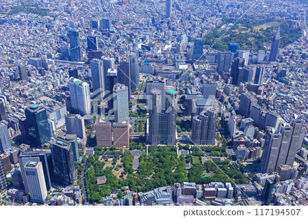 Tokyo Metropolis 117194507