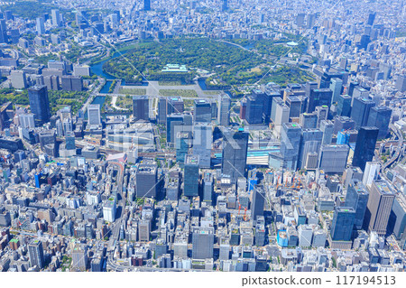 Japanese Bridge 117194513