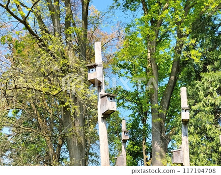 Many birdhouses arranged 117194708