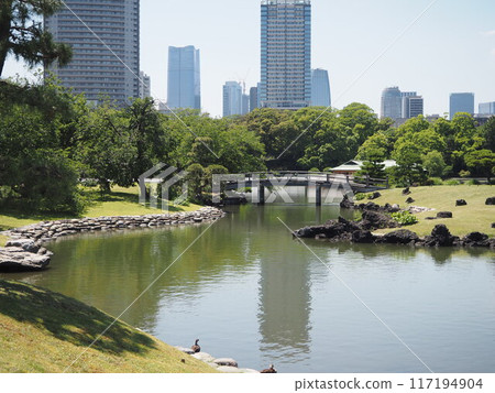 Nakano Bridge spanning the pond at Hama-rikyu Gardens Nakano Bridge spanning the pond at Hama-rikyu Gardens 117194904