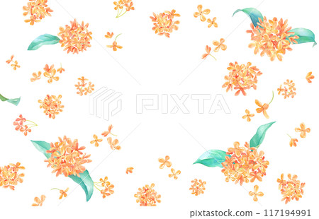 Watercolor illustration of Osmanthus flower. Decorative frame. Fragrance image. 117194991