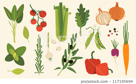 Italian vegetables. Cartoon food ingredients, hand drawn salad mix, vegan vegetarian farm kitchen. Vector isolated set. Onions, peas and bell peppers, tomatoes and carrots, garlic and beets, olives 117195694