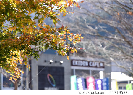 Autumn leaves on the lakeside of Ashi Autumn leaves on the lakeside of Ashi 117195873