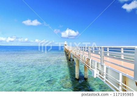 名護市Busena海洋公園的水下觀測塔 名護市Busena海洋公園的水下觀測塔 117195985