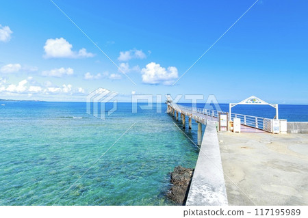 Underwater observation tower at Busena Marine Park, Nago City 117195989