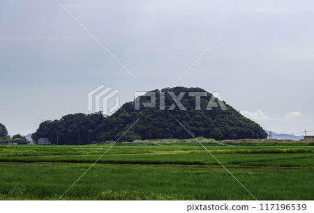 男城遺址全景 岡山縣岡山市 117196539