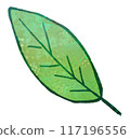 Simple leaf illustration 117196556