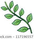 Simple stem and leaf illustration 117196557
