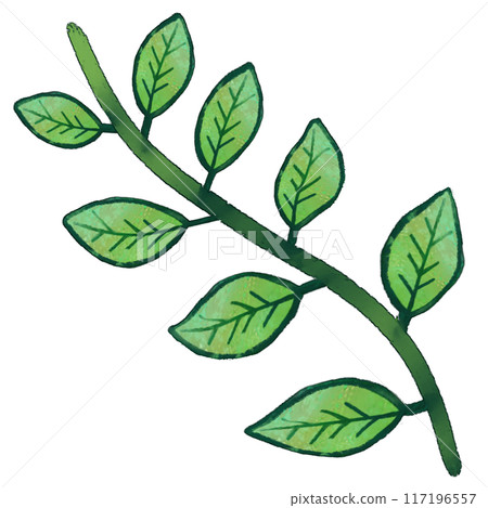 Simple stem and leaf illustration Simple stem and leaf illustration 117196557