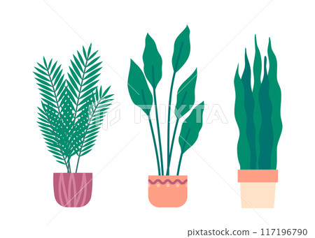 Cartoon Color Home Plant with Green Leaves in Pot Set Concept Flat Design Style. Vector illustration of Tropical Houseplants Cartoon Color Home Plant with Green Leaves in Pot Set Concept Flat Design Style. Vector illustration of Tropical Houseplants 117196790