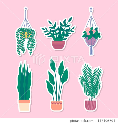 Cartoon Color Home Plant with Green Leaves in Pot Stickers Set Concept Flat Design Style. Vector illustration of Badge Cartoon Color Home Plant with Green Leaves in Pot Stickers Set Concept Flat Design Style. Vector illustration of Badge 117196791