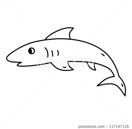 Fish isolated on white background Fish isolated on white background 117197126