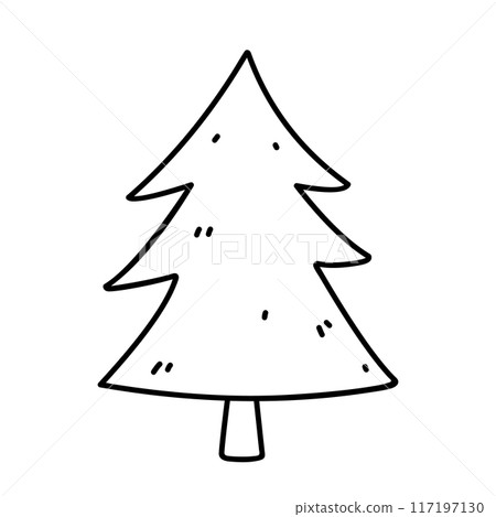 Fir isolated on a white background 117197130