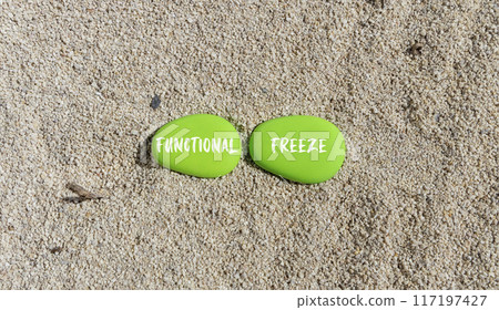 Functional freeze symbol. Concept words Functional freeze on beautiful green stone. Beautiful sand beach background. Business psychology functional freeze concept. Copy space. 117197427