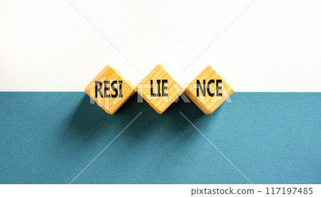 Resilience symbol. Concept word Resilience on beautiful wooden blocks. Beautiful blue and white background. Business resilience concept. Copy space. 117197485
