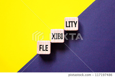 Flexibility symbol. Concept word Flexibility on beautiful wooden blocks. Beautiful yellow and black background. Business flexibility concept. Copy space. 117197486
