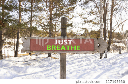 Just breathe and psychological symbol. Concept words Just breathe on beautiful wooden road sign. Beautiful forest snow blue sky background. Business psychological and Just breathe concept. Copy space Just breathe and psychological symbol. Concept words Just breathe on beautiful wooden road sign. Beautiful forest snow blue sky background. Business psychological and Just breathe concept. Copy space 117197630