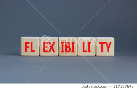 Flexibility symbol. Concept word Flexibility on beautiful wooden blocks. Beautiful grey background. Business flexibility concept. Copy space. 117197642