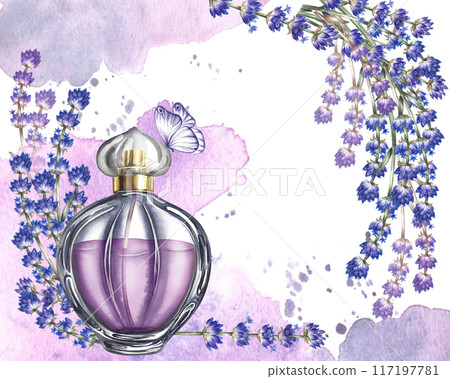 Lavender. The purple horizontal border frame is made of lavender and a bottle with watercolor spots and butterflies. A watercolor illustration made by hand. For packaging, postcards and labels. 117197781