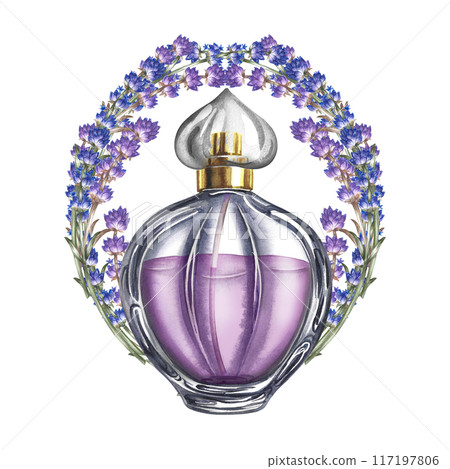 Lavender. Lavender perfume. Purple perfume bottle and lavender flowers. A hand-drawn watercolor illustration. Highlight it. An element of the design of packaging, postcards and labels. 117197806