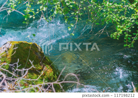 Flow of a mountain clear river with a green turquoise hue in the lower calm tiers, where channel widens and water flows measuredly under crowns of trees and mosses overgrow on the stones Flow of a mountain clear river with a green turquoise hue in the lower calm tiers, where channel widens and water flows measuredly under crowns of trees and mosses overgrow on the stones 117198212