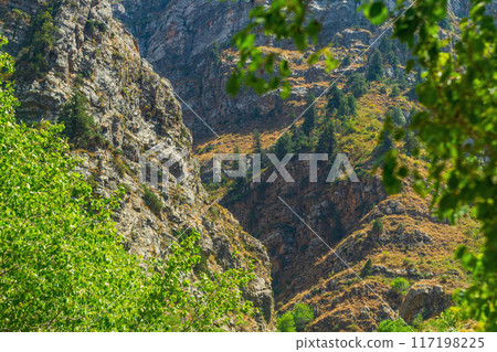 Picturesque landscape of yellowish mountain slopes on which trees, shrubs and grass have grown. The mountain goes into the distance, rising. In the foreground are green branches of trees with leaves 117198225
