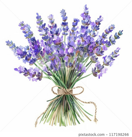 Branch of lavender violet flowers against white Branch of lavender violet flowers against white 117198266