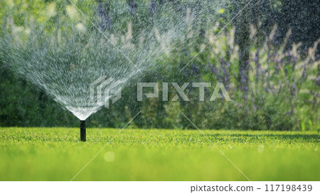 Automatic sprinkler watering the green lawn on a bright sunny day Automatic sprinkler watering the green lawn on a bright sunny day 117198439