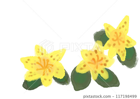 Lesser cuckoo flower card 1 117198499