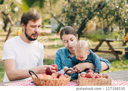 Young family with a baby enjoying apple picking in an orchard, holding a basket of apples. the joy and togetherness of family time in nature. Young family with a baby enjoying apple picking in an orchard, holding a basket of apples. the joy and togetherness of family time in nature. 117198530