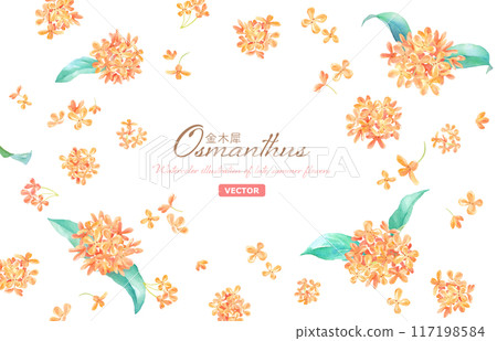 Watercolor illustration of Osmanthus flower. Decorative frame. Fragrance image. (Vector) 117198584