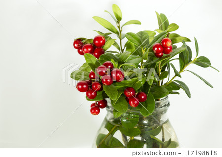 Lingonberry with leaves, isolated on white background 117198618