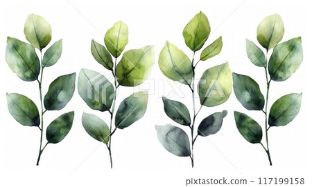 Watercolor illustration of leaves Watercolor illustration of leaves 117199158