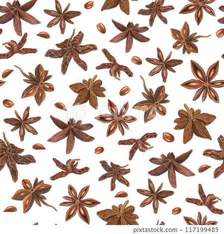 Star Anise seeds. Seamless pattern of Badian. Food with delicate spicy aroma for cooking. Watercolor botanical illustration. For decoration of menu, spice stores, Christmas and New Year textile Star Anise seeds. Seamless pattern of Badian. Food with delicate spicy aroma for cooking. Watercolor botanical illustration. For decoration of menu, spice stores, Christmas and New Year textile 117199485