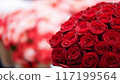 A red rose 117199564