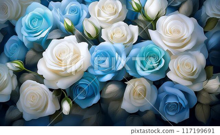 White and light blue roses 117199691