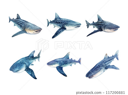 Whale Shark, Animal Illustration. Watercolor Style 117200881