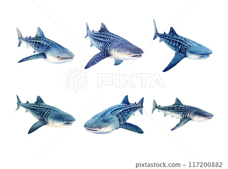 Cute watercolor painting style illustration of Whale Shark, isolated on white background 117200882