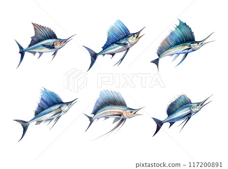 Sailfish, Animal Illustration. Watercolor Style Sailfish, Animal Illustration. Watercolor Style 117200891