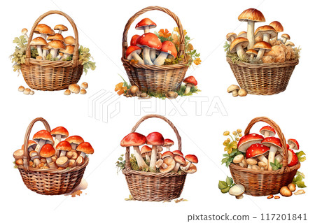 Six Baskets Filled with Various Types of Mushrooms 117201841