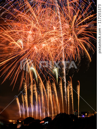 The Todabashi Fireworks Festival and the Itabashi Fireworks Festival are some of the most popular in the Kanto region. 117201873