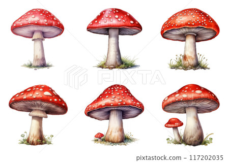 Six Red and White Spotted Mushrooms on a Black Background 117202035