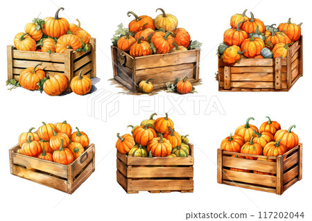 Watercolor illustration of six wooden crates filled with pumpkins 117202044