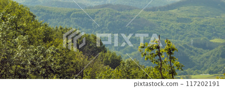 Mountains and landscapes of the Basque Country on a clear morning 117202191