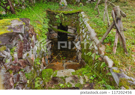Shirakawa-go, storage, stone, footpath, Hida Takayama, weeds, moss-covered rocks 117202456