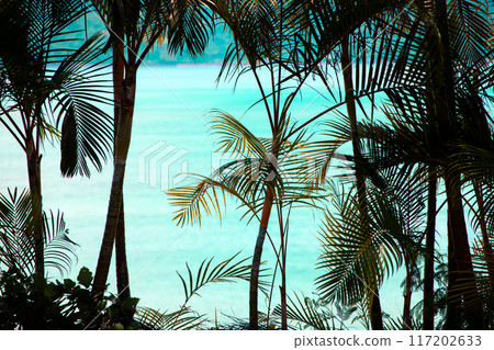 Resort image, palm tree silhouette and sea Resort image, palm tree silhouette and sea 117202633