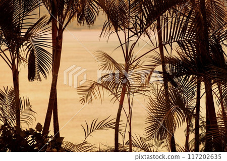 Resort image, palm trees and sea Resort image, palm trees and sea 117202635