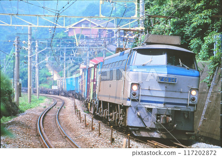 在東海道幹線上運行的貨運列車 117202872